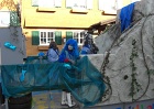 CIMG3876