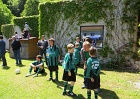 IMG 0098